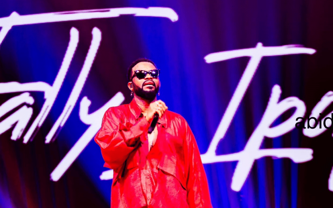 Incidents au Concert de Fally: Ce qui s&rsquo;est réellement passé